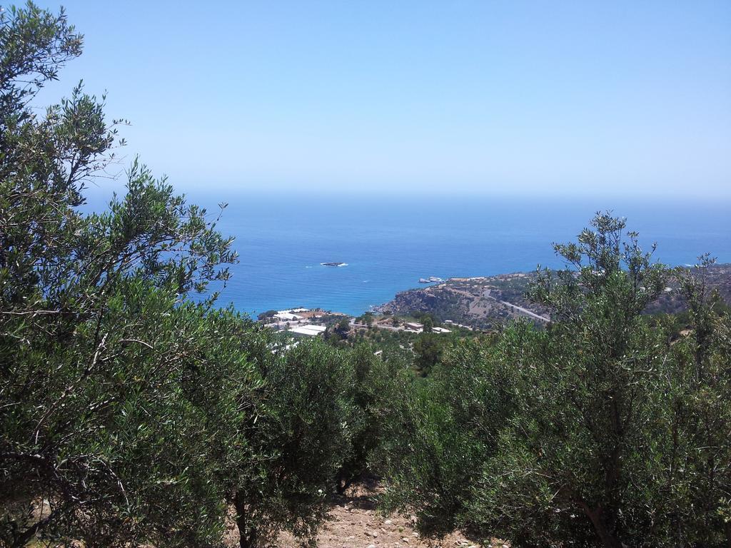 Stefanos Apartments Agia Fotia  Luaran gambar