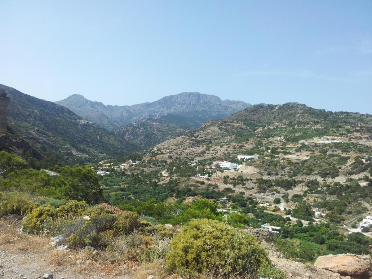 Stefanos Apartments Agia Fotia  Luaran gambar