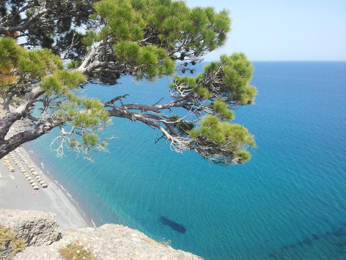 Stefanos Apartments Agia Fotia  Luaran gambar